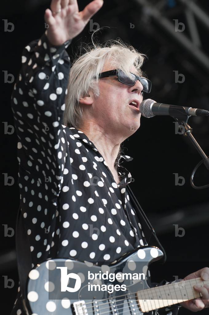 Robyn Hitchcock (photo)