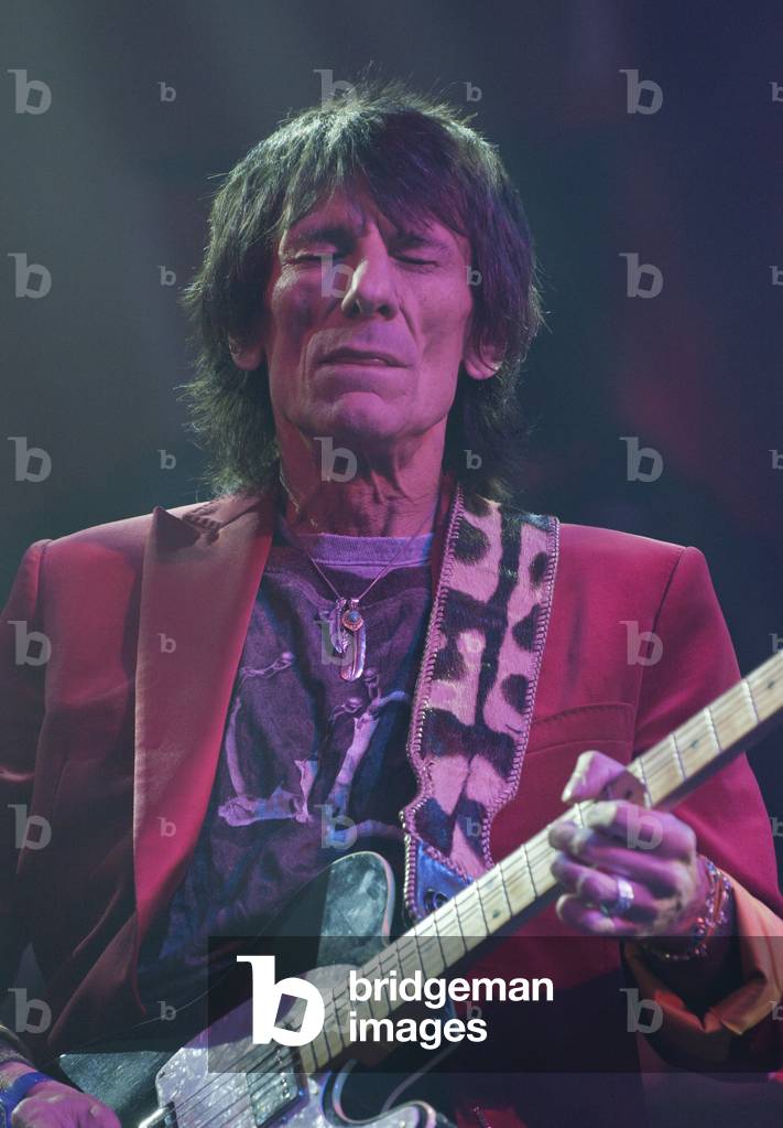 Ronnie Wood (photo)