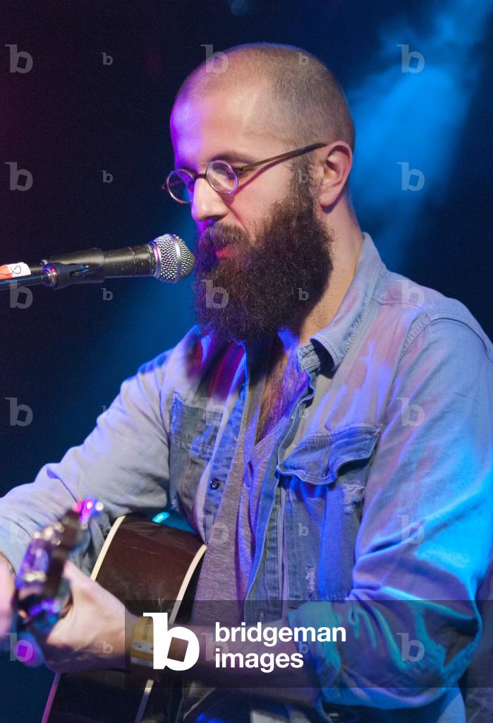 William Fitzsimmons (photo)