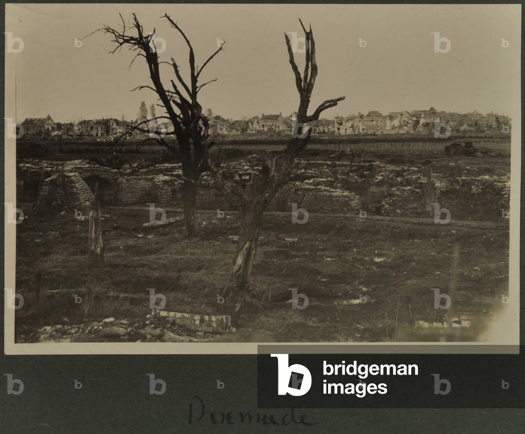Dixmude, c.1916-19 (b/w photo)