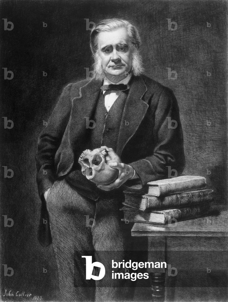 Thomas Henry Huxley (1825-95) etched by Leopold Flameng (1831-1911) 1885 (etching)