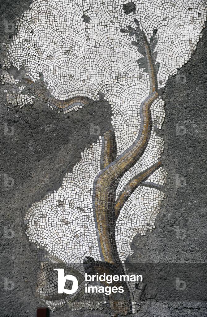 Mosaic of the Great Palace Mosaic Museum. Istanbul.