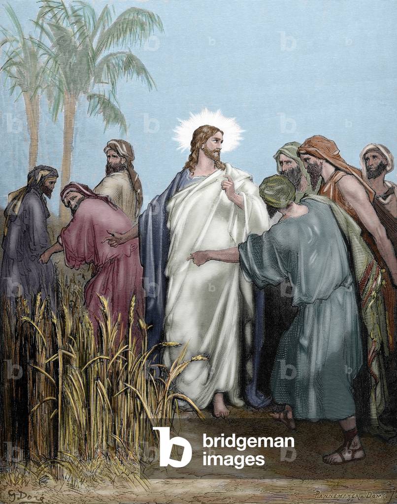 Apostles gather around Jesus, the Day of Rest - Colorised engraving by Pannemaker from illustration by Gustave Dore (1832-1883), 19th century - Gospel of Matthew, Chapter XII: The apostles gathered ears in the day of rest - Gustave Dore's drawing, Engraving by Pannemaker, Colored