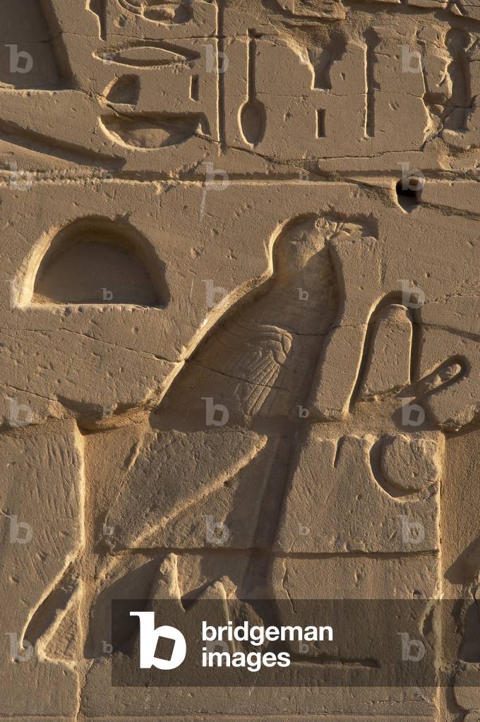 Egyptian Art. Relief depicting a vulture. Karnak.