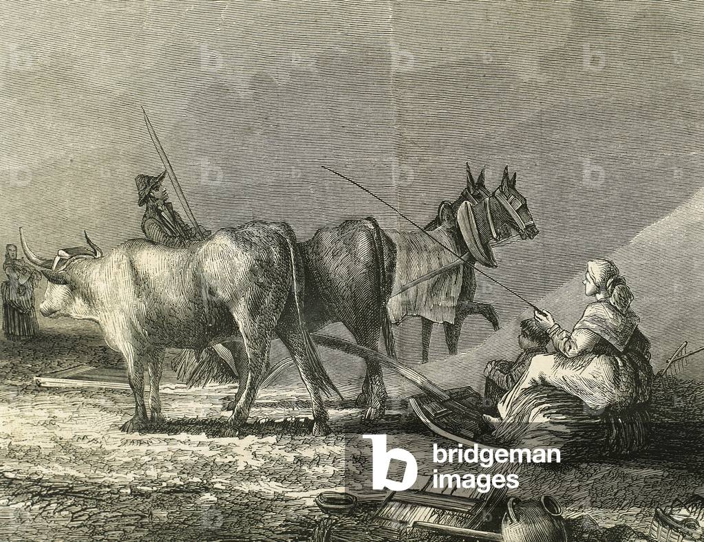 Agriculture. Threshing. Engraving by R. Milliet. 19th century.