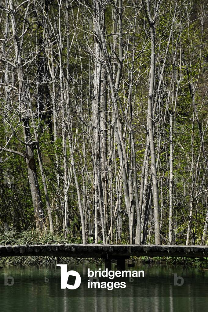 Croatia. Plitvice Lakes National Park.