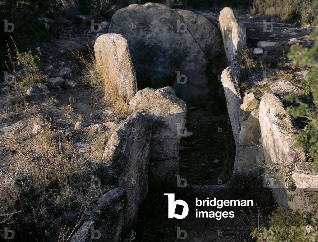 Megalithic tomb. Dolmen of de la mina de Farangortea. Near Artajona. Navarre (photo)