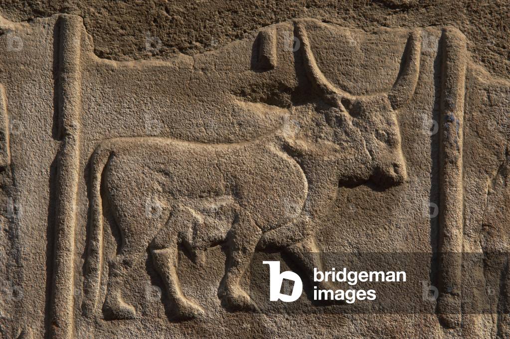 Egyptian hieroglyph shaped like a bull. 