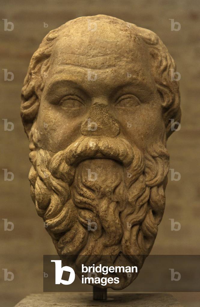 Head of greek philosopher Socrates.