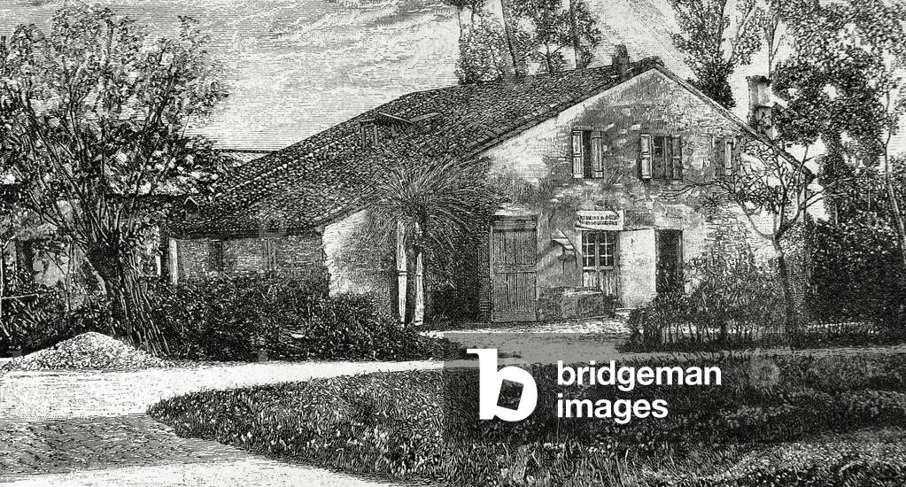 Giuseppe Verdi, Italian opera composer, 