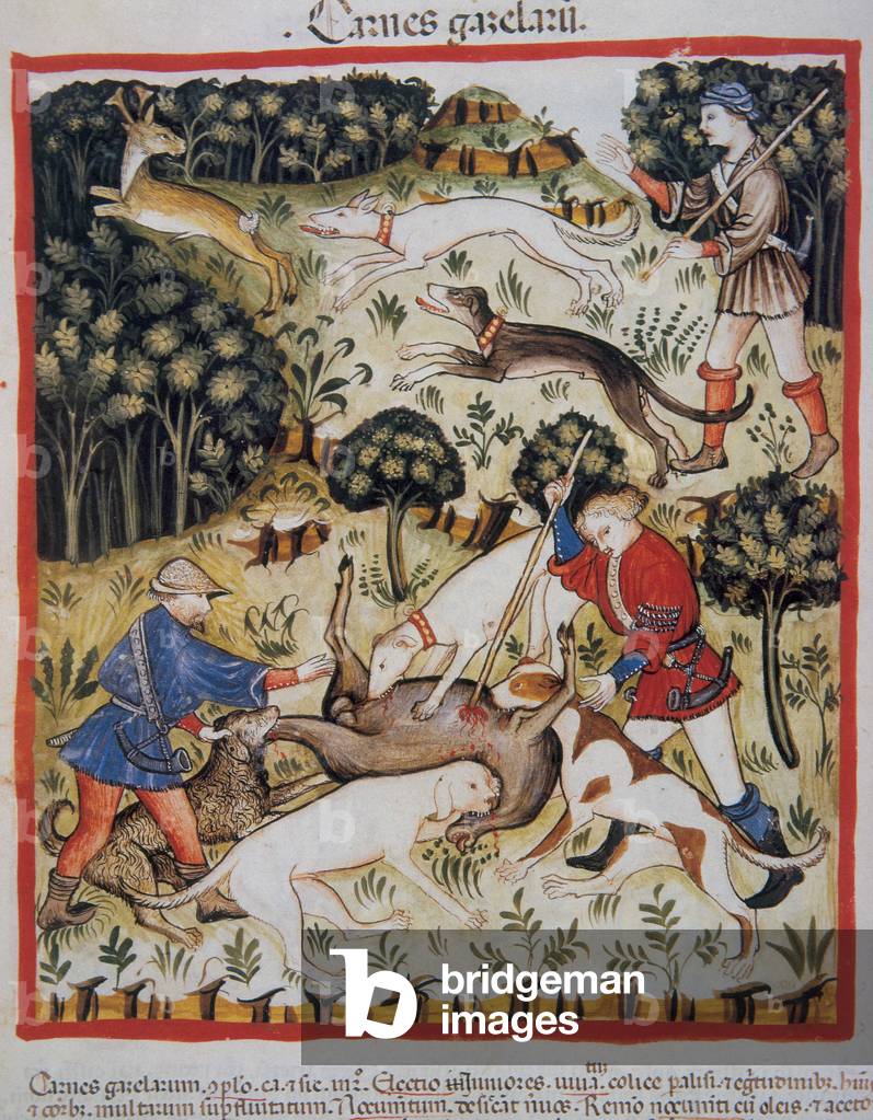 The hunt has the antelope. Illumination from the medical and dietetic milking “Tacuinum sanitatis”, 14th century. Folio 71v