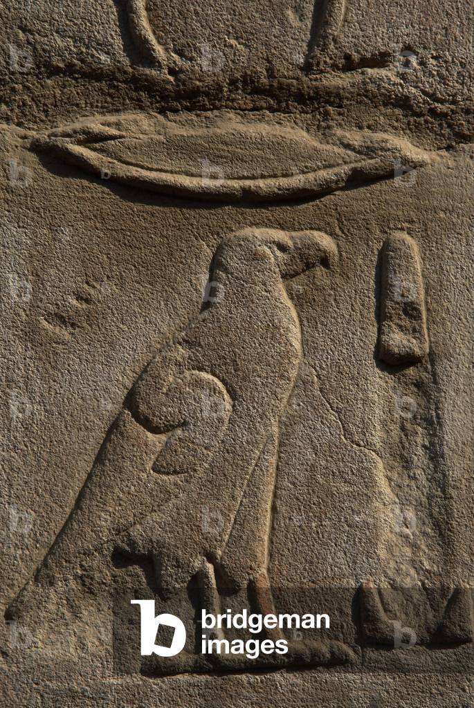 Egyptian hieroglyph shaped like an eagle.