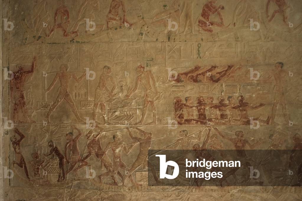 Relief, Daily life scenes, Mastaba of Ptahhotep and Akhethotep, Egypt