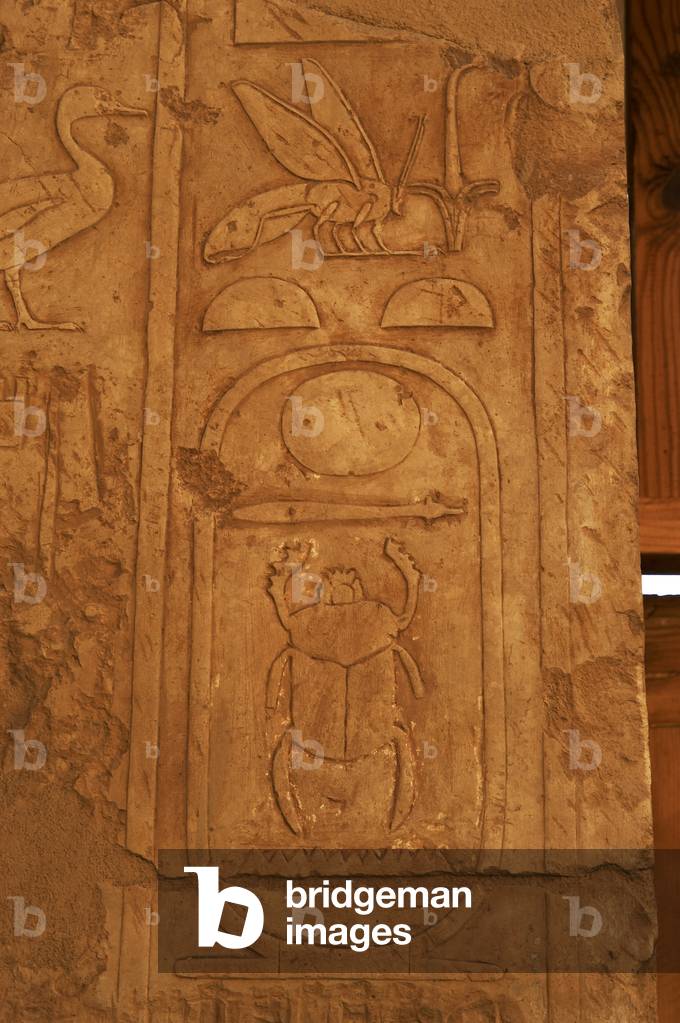 Cartridge with praenomen of Thutmose II. Deir el-Bahari. Egypt.