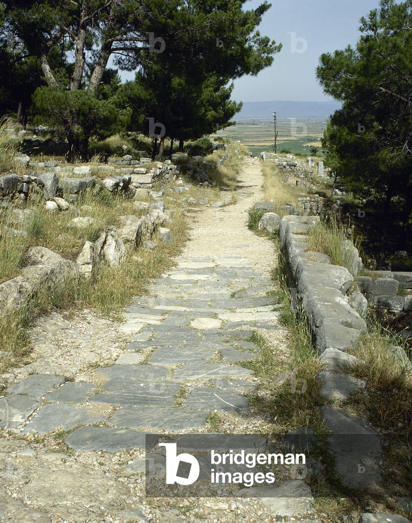 Turkey, Priene, Theater route, Anatolia