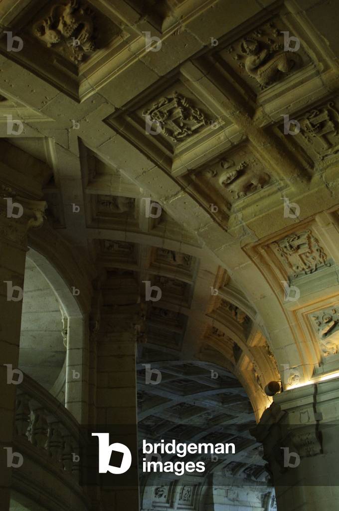 France, Castle of Chambord, Interior, Detail.