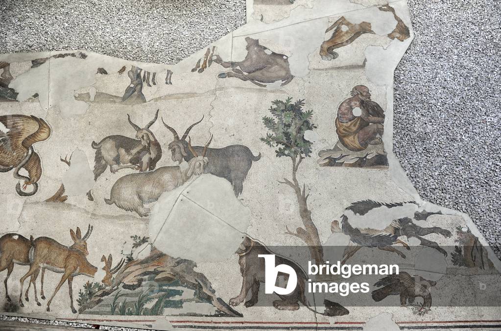 Mosaic of the Great Palace Mosaic Museum. Istanbul.
