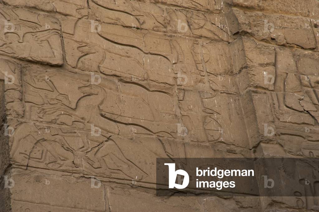 Luxor Temple. Battle of Kadesh. Relief. Detail. Egypt.