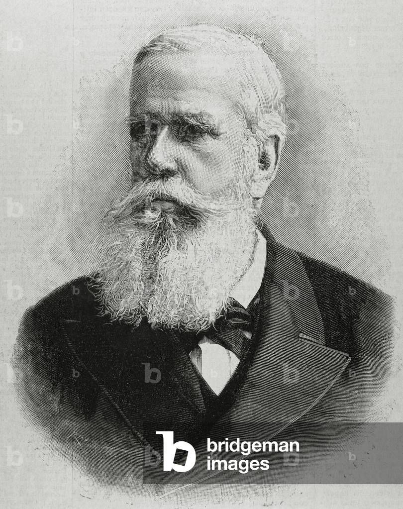 Portrait of Pedro II of Brazil (engraving)