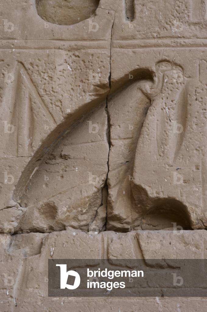 Temple of Ramses III. Vulture.