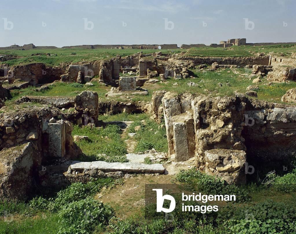 Syria, Ancient city of Dura-Europos, Ruins of the Gade Temple, Historical photo (photo)