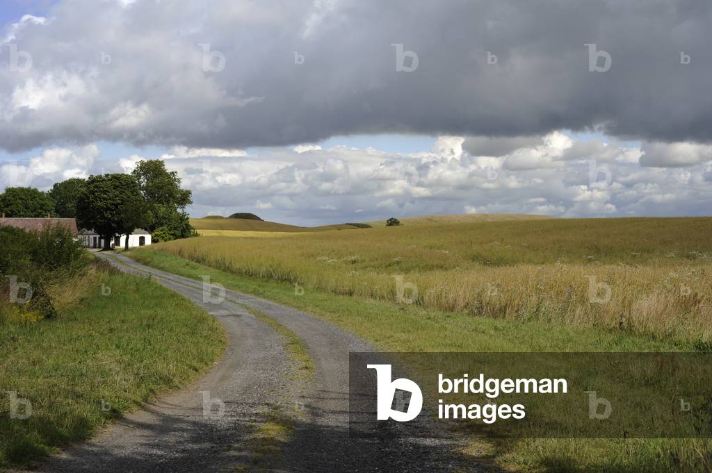 Landscape, Fields in Oxie, surroundings city of Malmo, Sweden