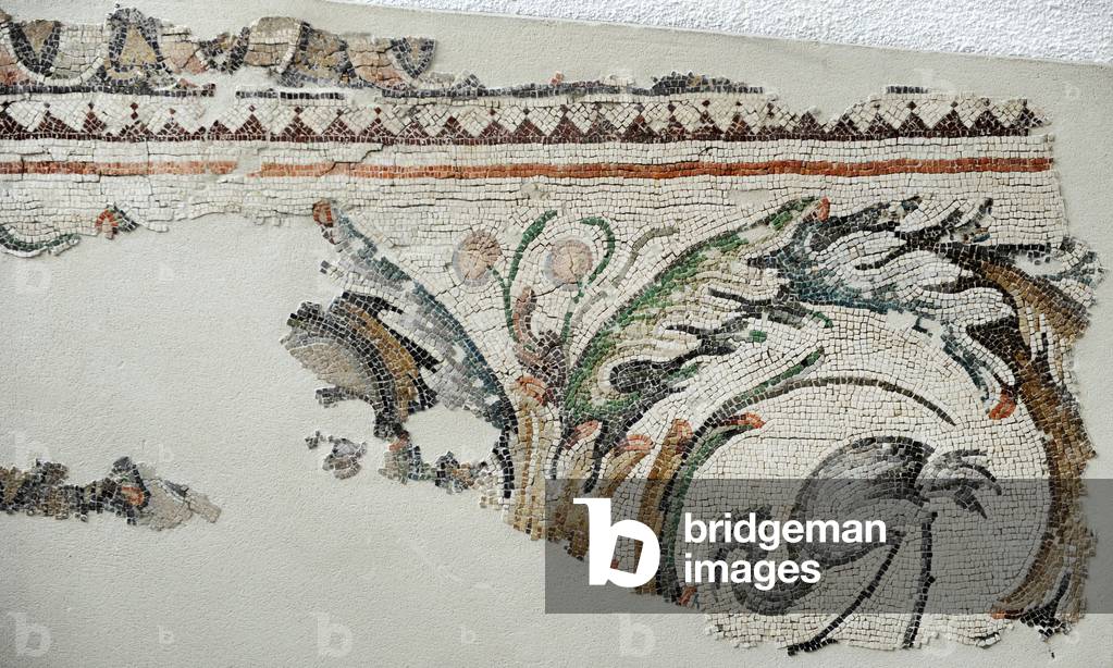 Mosaic of the Great Palace Mosaic Museum. Istanbul.