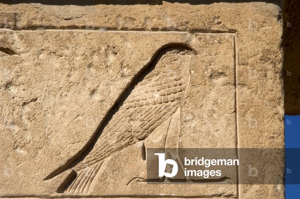 Egypt, Necropolis of Saqqara, Falcon, Relief, Old Kingdom.