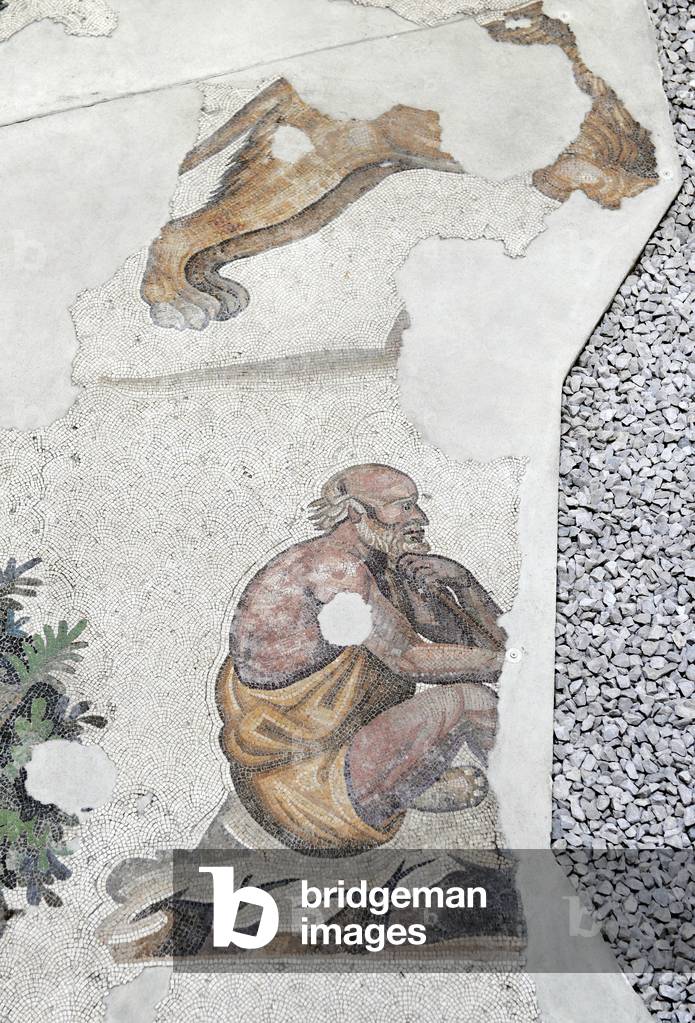 Mosaic of the Great Palace Mosaic Museum. Istanbul.