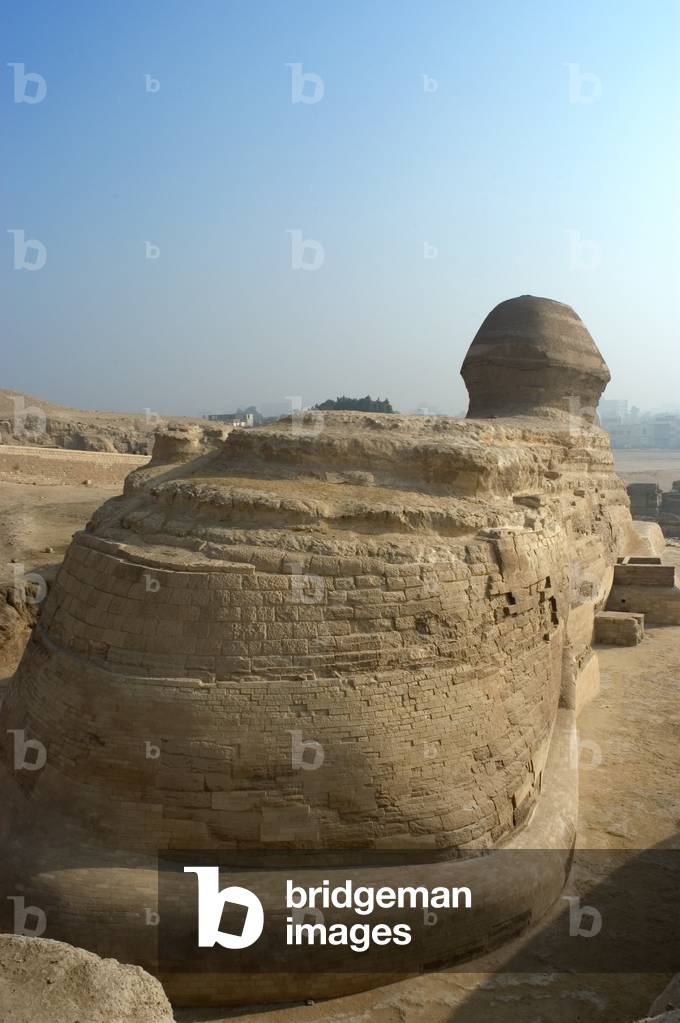 Back of the Sphinx of Giza, Egypt (photo)