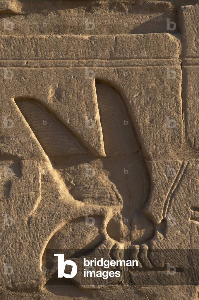 Egyptian Art. Relief depicting a bee, symbol of Lower Egypt. Karnak.