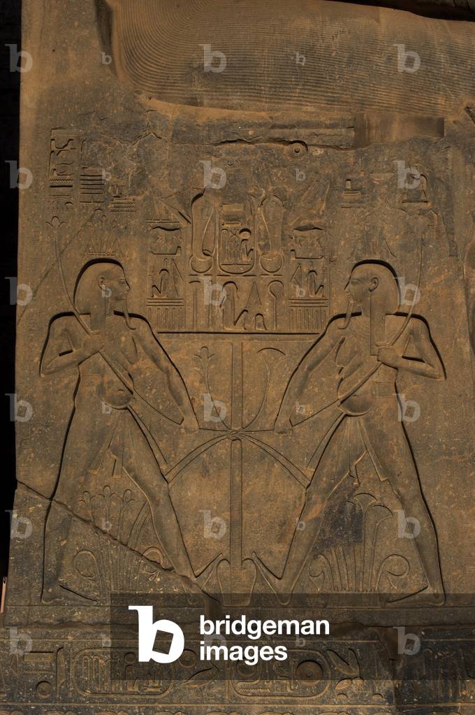 Union between Upper Egypt and Lower Egypt (Papyrus).