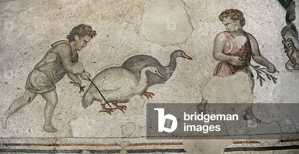 Mosaic of the Great Palace Mosaic Museum. Istanbul.