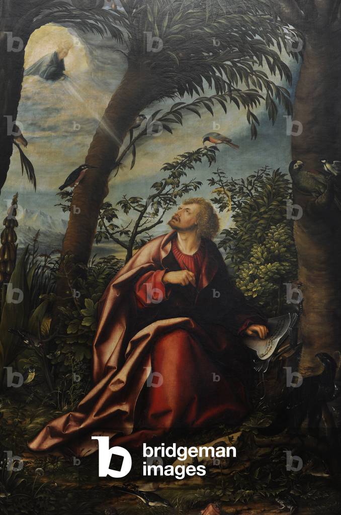 Detail of Saint John the Evangelist on Patmos. Central panel of Saint John Altarpiece, 1518, by Hans Burgkmair the Elder (1473-1531).