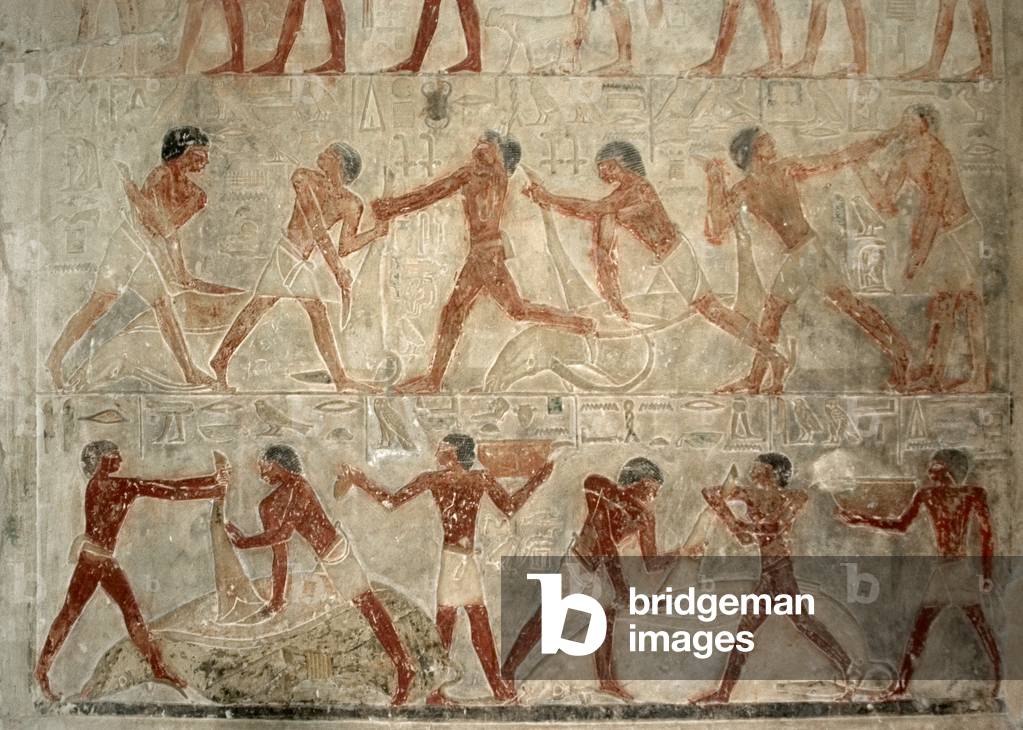 Oxen, Butchering, Polychrome relief, Mastaba of Ptahhotep and Akhethotep, Egypt