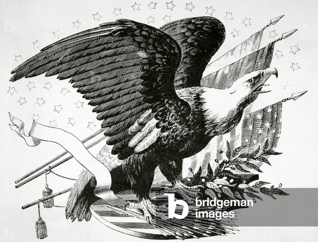 Bald eagle and other patriotic symbols of the American Revolutionary War (engraving)