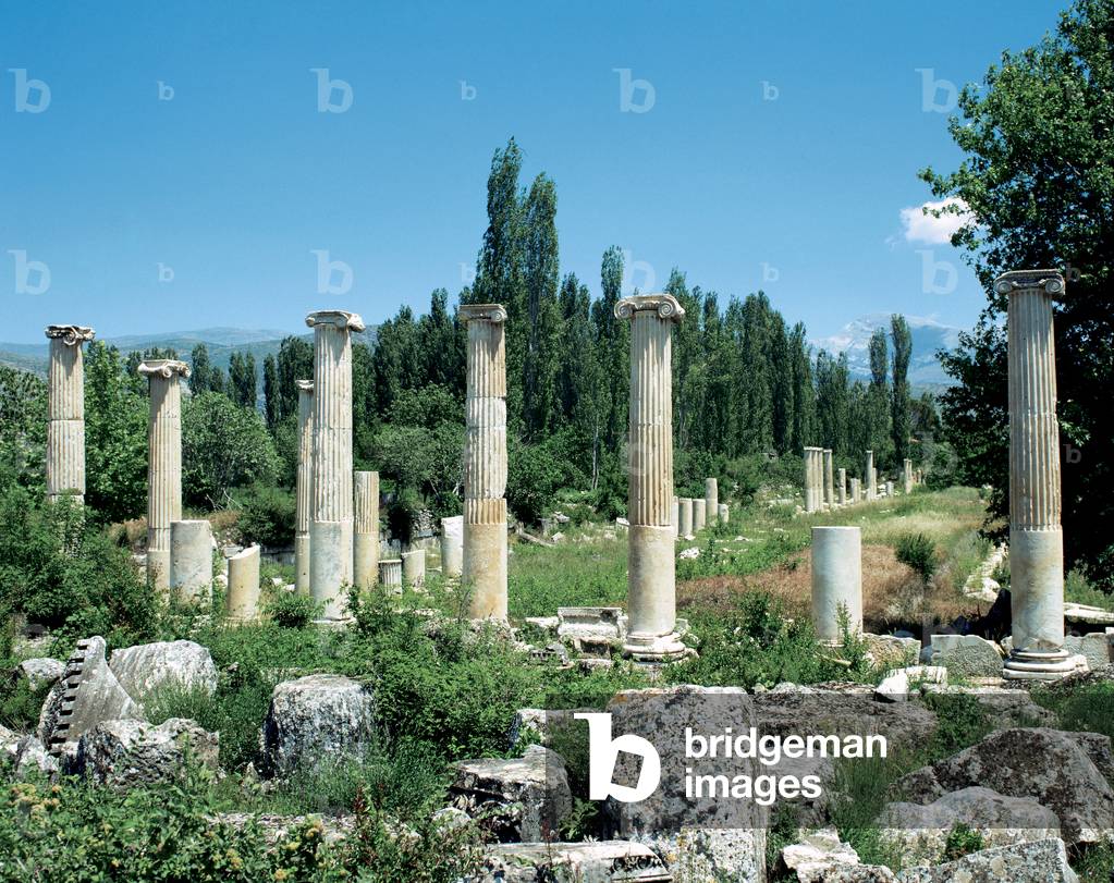 Turkey. Asia Minor. Ephesus. Ruins of Commercial Agora. Near Selcuk.
