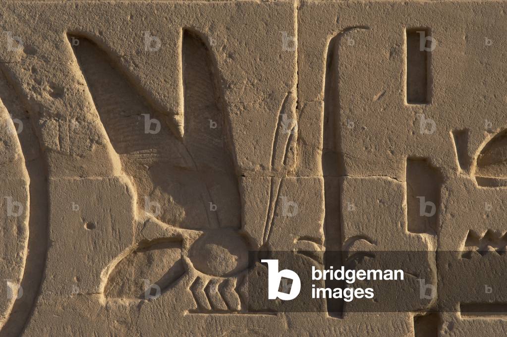Egyptian Art. Relief depicting a bee and a rush symbols of Lower and Upper Egypt. Karnak.