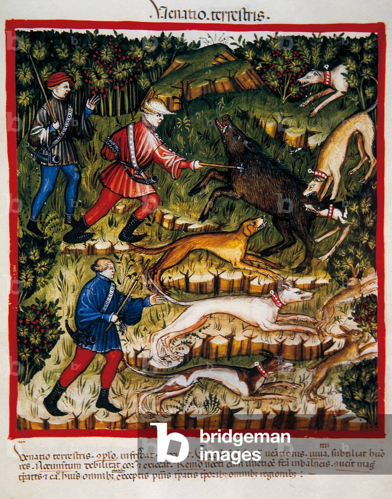 The benefits of hunting. Description of its virtues. Illumination from the medicine and dietetic milking “Tacuinum sanitatis”, 14th century. folio 96r