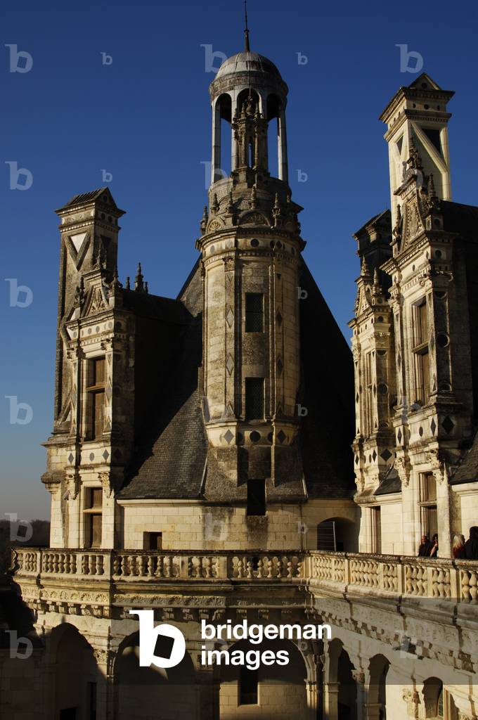 France, Castle of Chambord, Exterior, Detail, by Domenico da Cortona  (ca 1465- ca 1549)