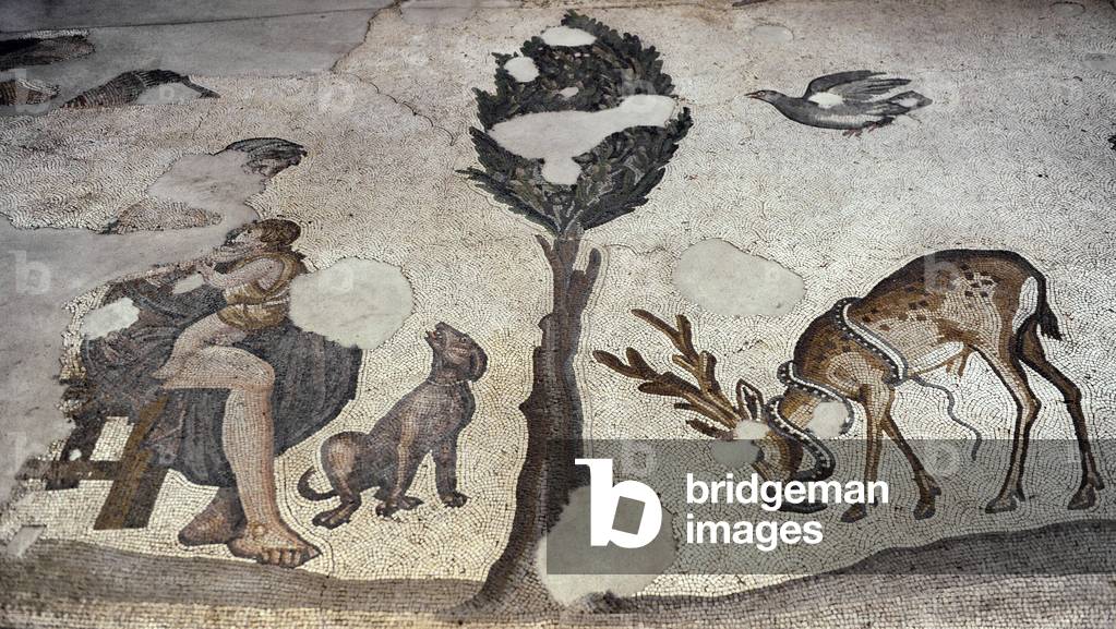 Mosaic of the Great Palace Mosaic Museum. Istanbul.