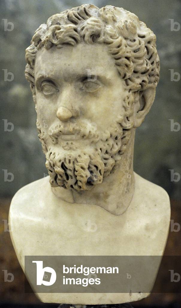 Bust of the Roman Emperor Septimius Severus (marble)