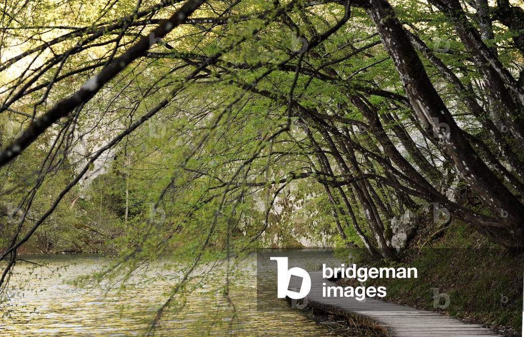 Croatia. Plitvice Lakes National Park.