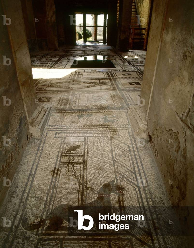 Roman art, “canem cellar”, the dog room. Lobby or entrance to a villa in Pompei. Italy