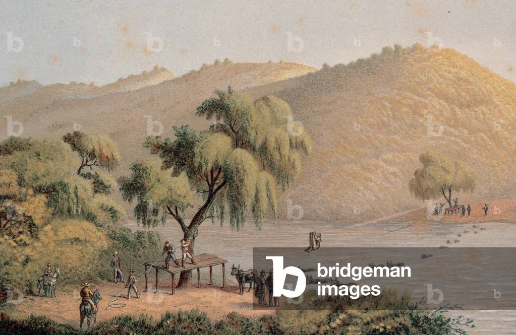 Mexico. Cattle crossing the San Marcos River.