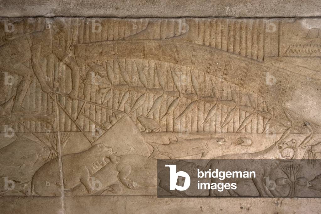 Egypt. Saqqara. Mastaba of Kagemni. Relief. Fishing scene.