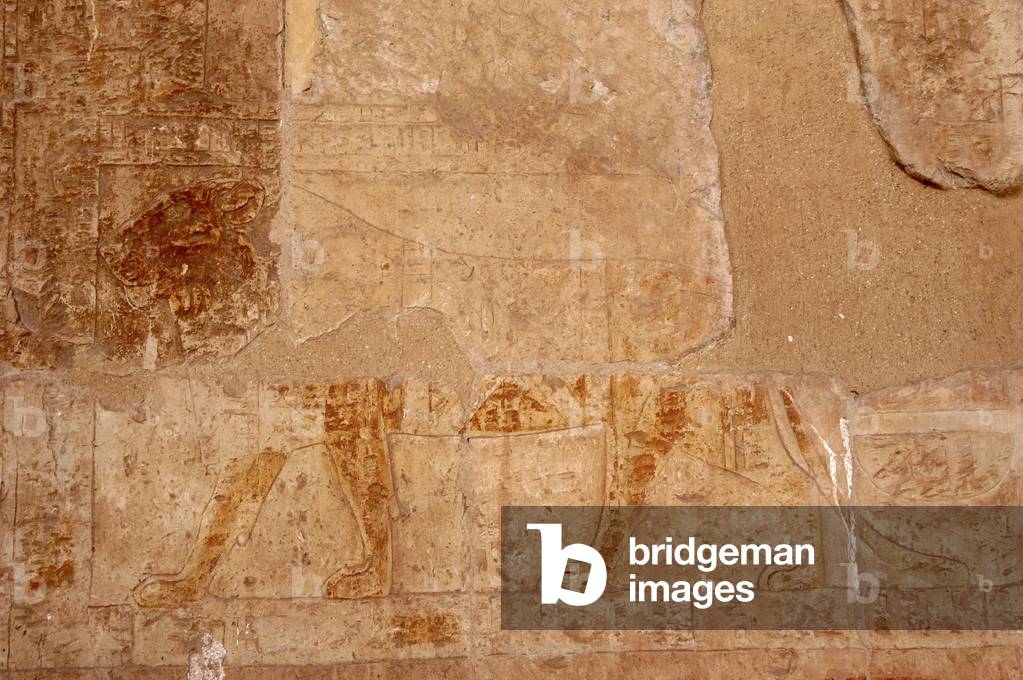 EGYPTIAN ART. Relief depicting a lion.