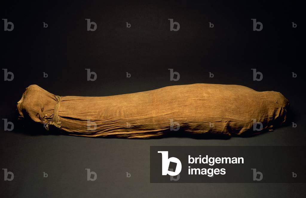 Egyptian mummy