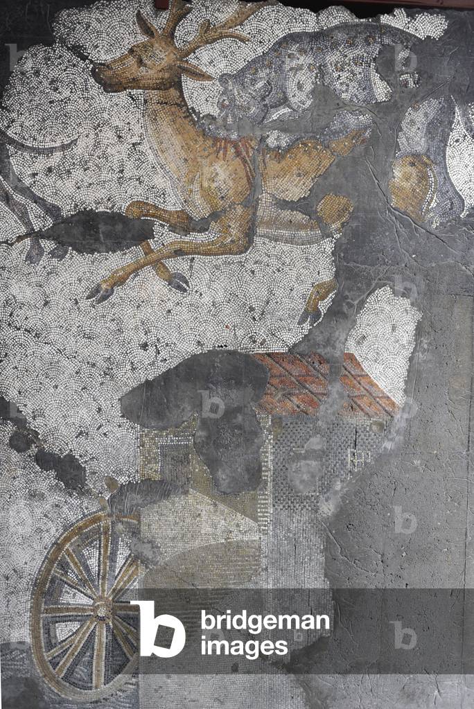 Mosaic of the Great Palace Mosaic Museum. Istanbul.