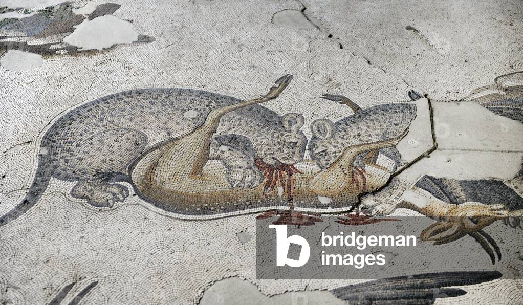 Mosaic of the Great Palace Mosaic Museum. Istanbul.